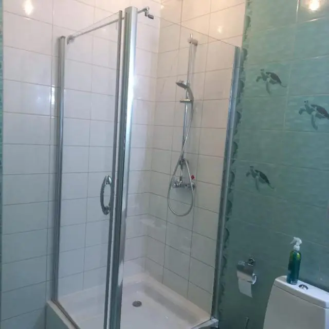 Real photos of Anna and the King on Mirny Lane