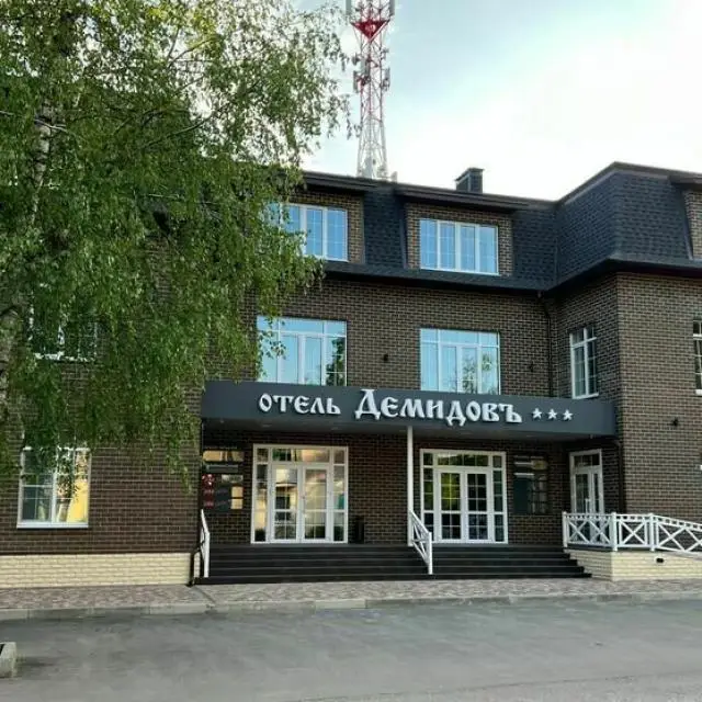 Реальные фото Демидовъ