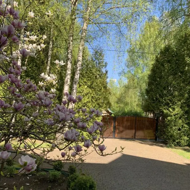 Real photos of Villa Grench