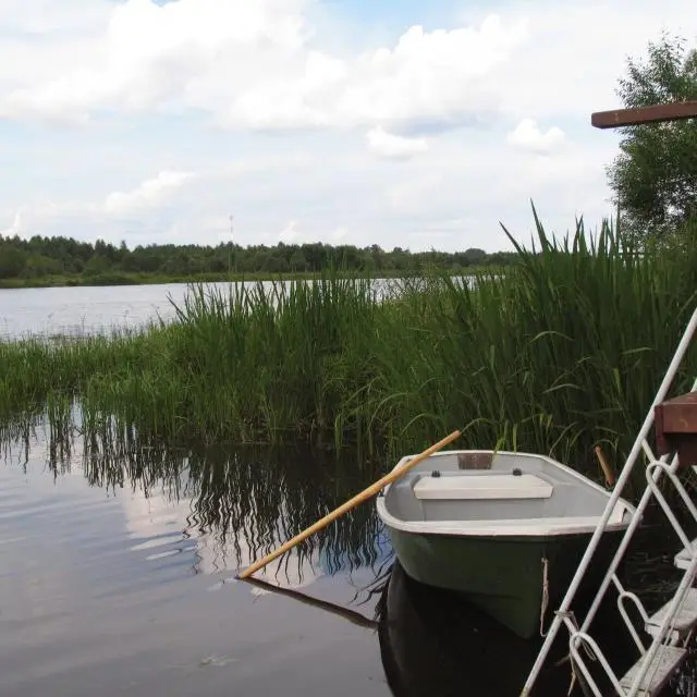 Real photos of Kolkunovo