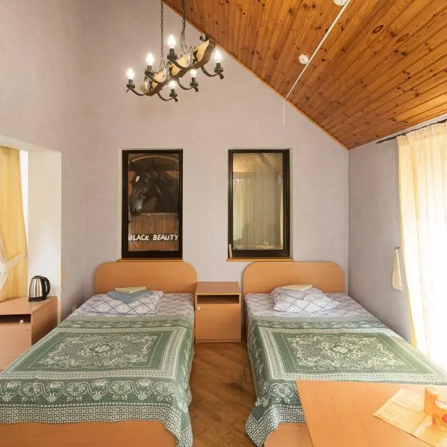 Real photos of Villa-N
