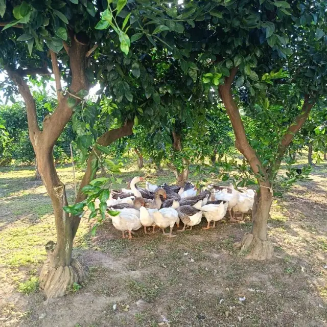 Real photos of Marina's Guest House