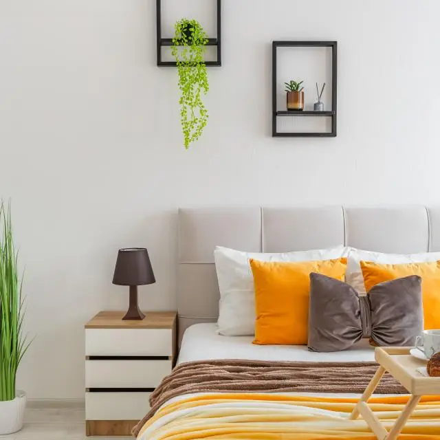 Real photos of Philosophy Apartments