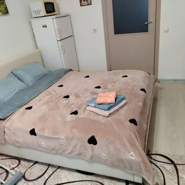 Real photos of Apartment OLGA on Moskovsky Avenue