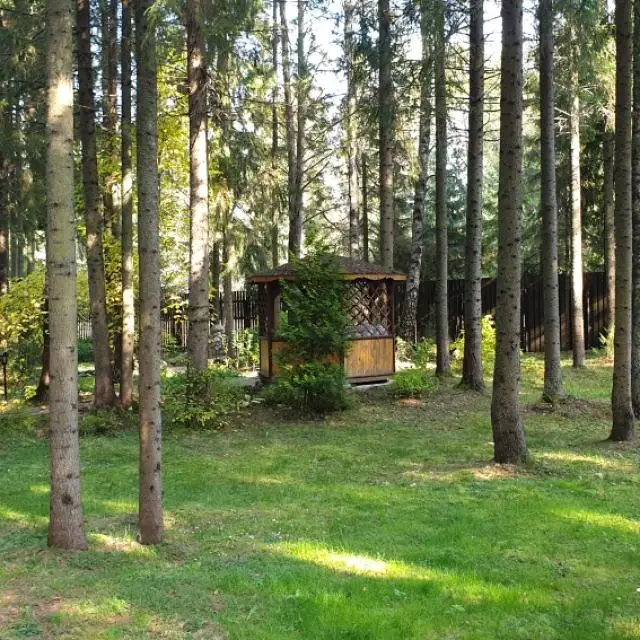 Real photos of WISH HOTEL Seliger 