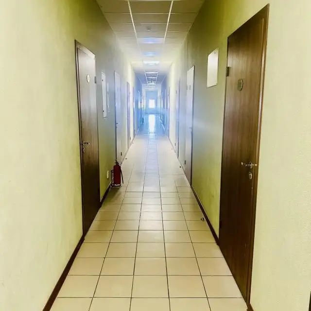 Реальные фото Клевер
