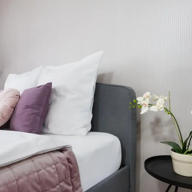 Real photos of Apartments on Krylova street 34