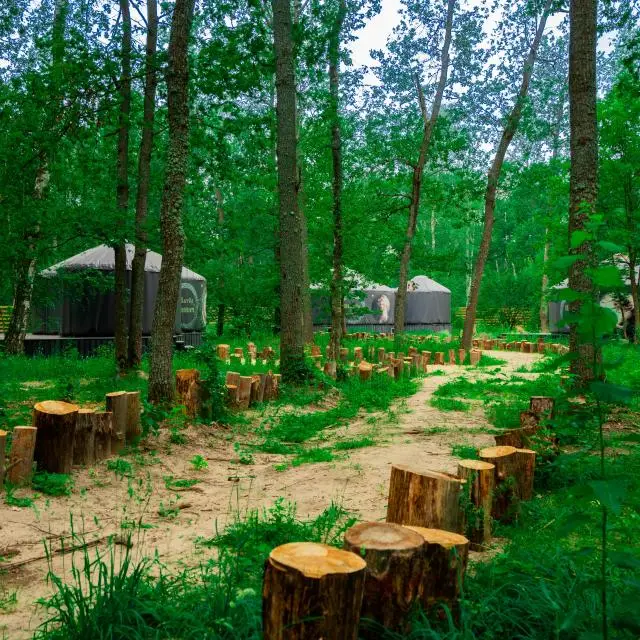Real photos of Lesnaya baza «Paporotnik»