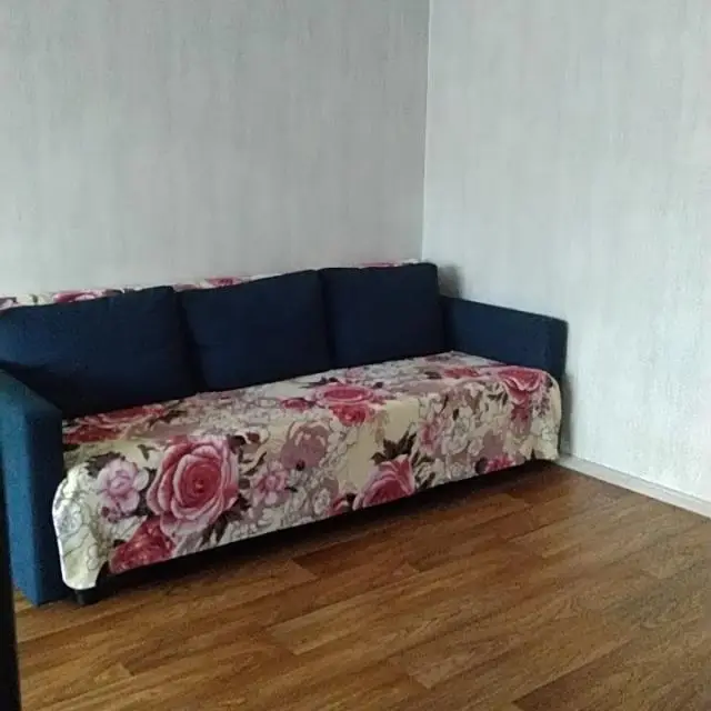Real photos of Apartments on Druzhby Prospekt 33