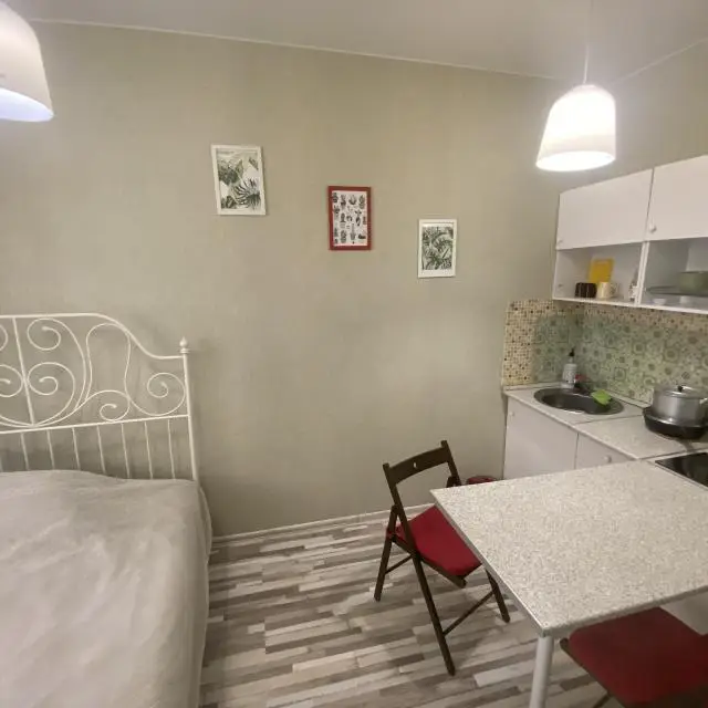 Real photos of Goncharov's house on Chistopolskaya Street 