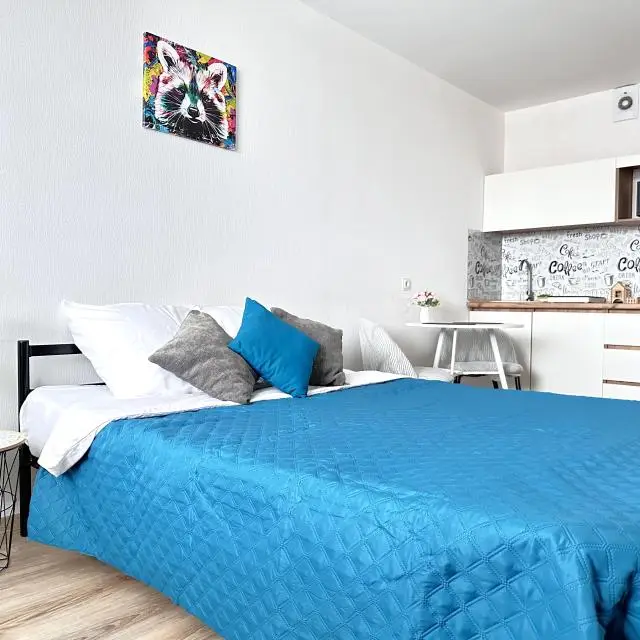Real photos of Studio apartment on Sputnik 16/4