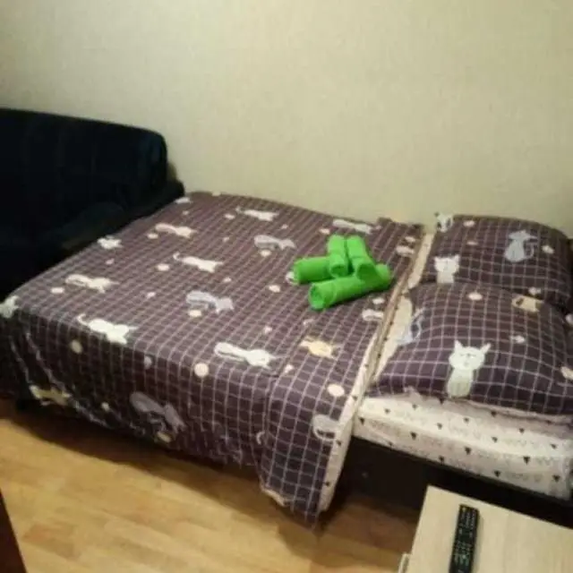 Real photos of Let's stay on Bogdanov Street 15