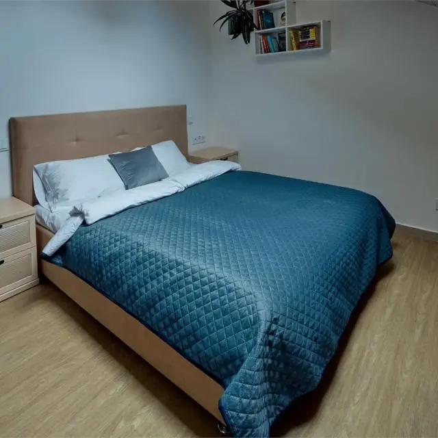 Real photos of Apartments on Panskaya