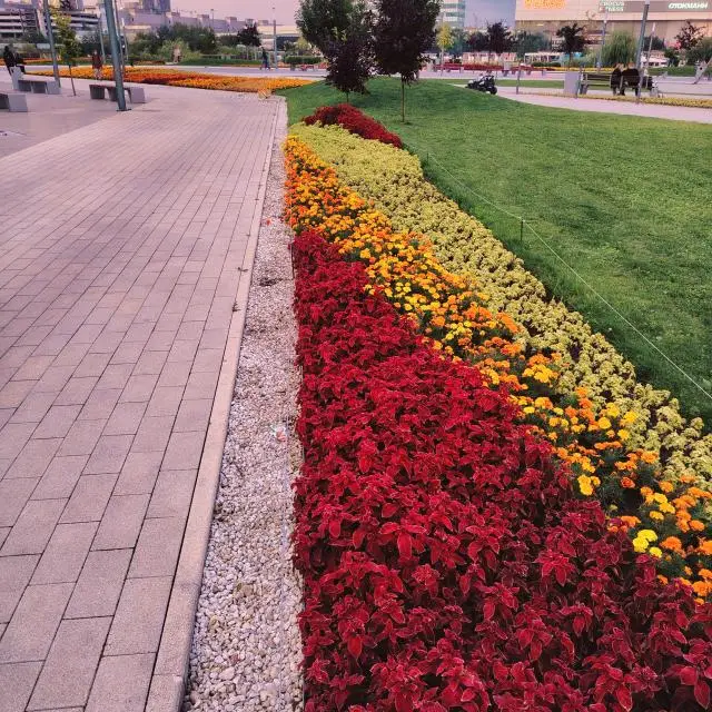 Real photos of Apartments on Krasnogorsky Boulevard 48
