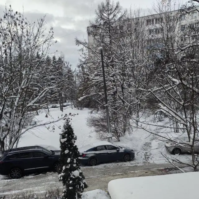 Real photos of Comfort in a green area