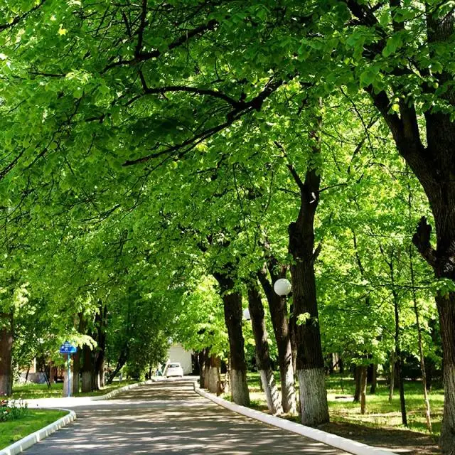 Реальные фото Парк-Отель Шереметьевский