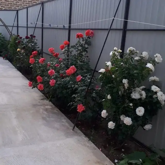 Real photos of Zhemchuzhina guest house