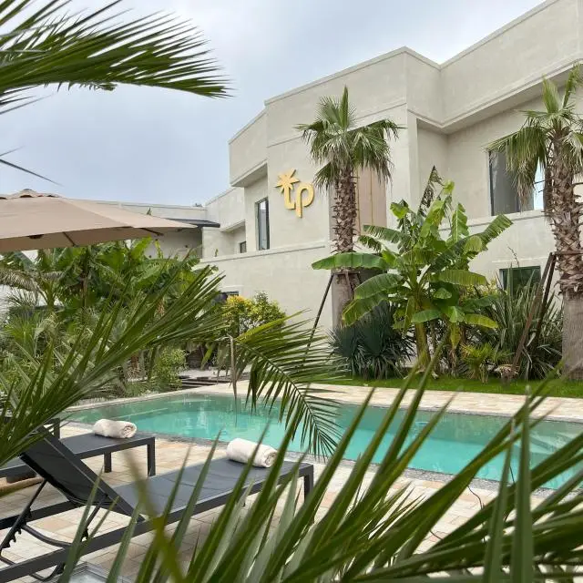 Real photos of Little Palm