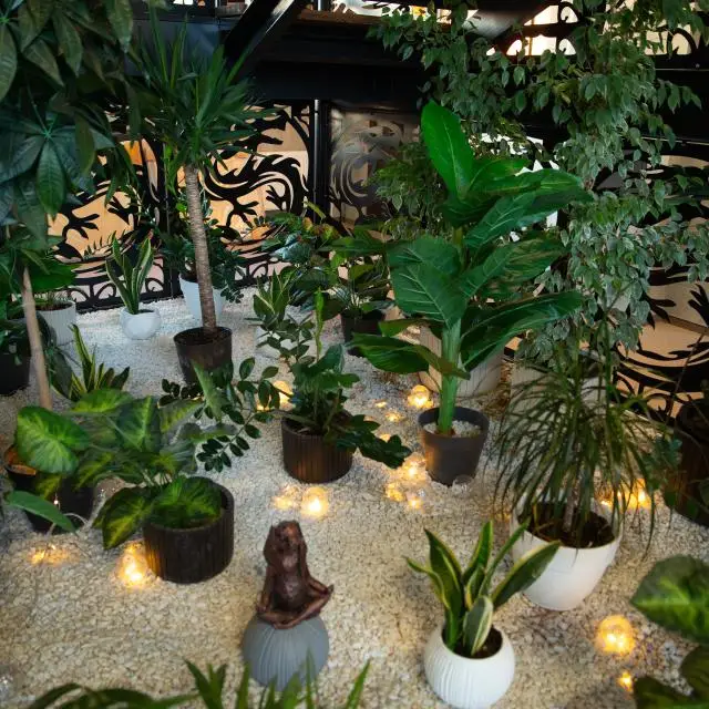 Real photos of Marko Polo Garden