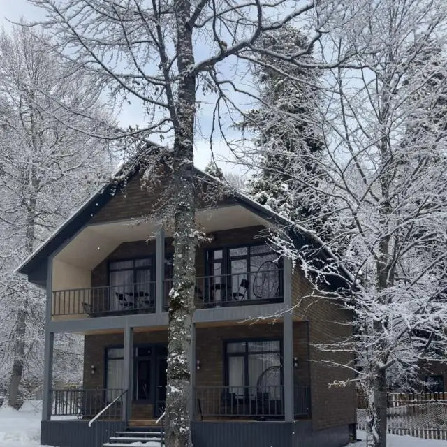Real photos of Edi House 