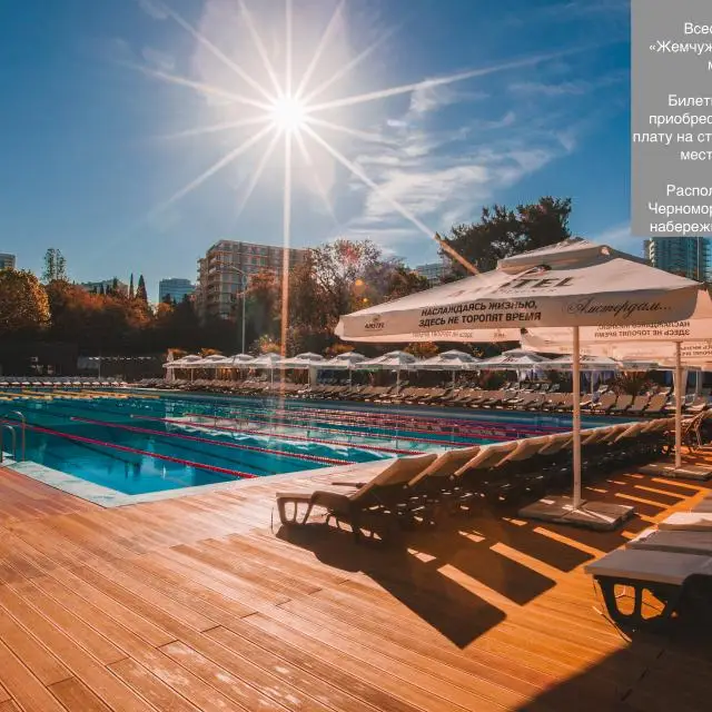 Реальные фото Dolphin Resort by Stellar Hotels (Дельфин Резорт Стеллар)