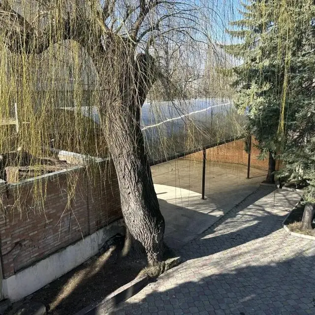 Реальные фото Бешпагир