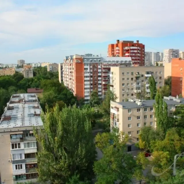 Real photos of Alliance on Gazetny lane 107/45
