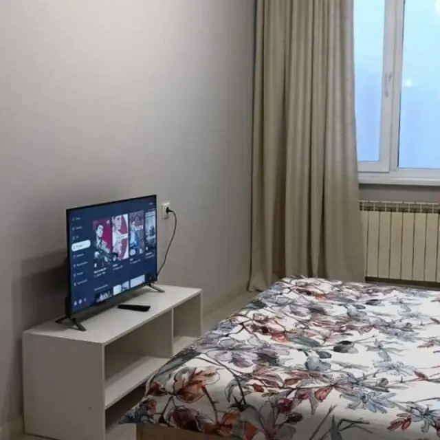 Real photos of Apartments on Oyunsky street 8.