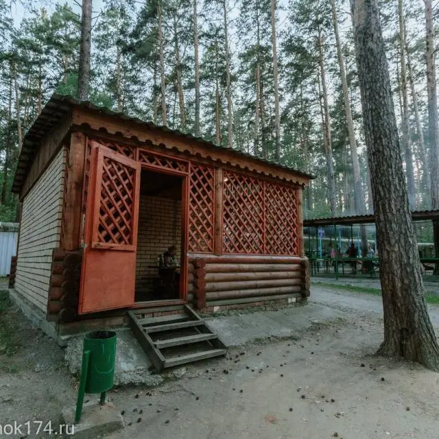 Реальные фото Родничок