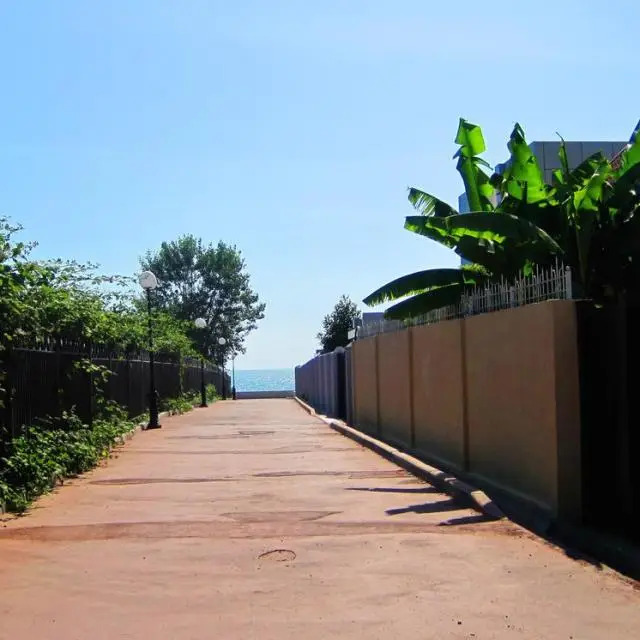 Реальные фото Лето
