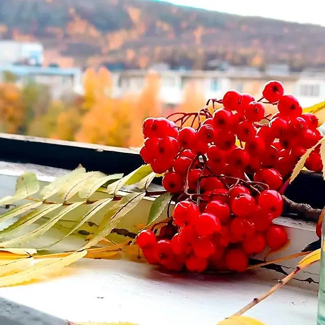 Реальные фото Уютный Север на улице Зои Космодемьянской