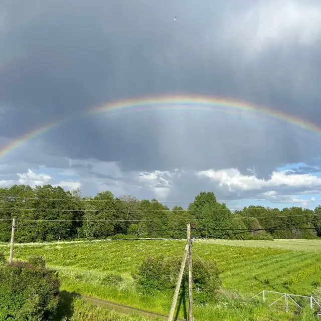 Real photos of Vilayoki Agro Vyborg