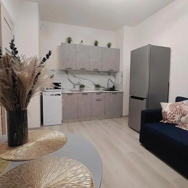 Real photos of Euphoria Apartments on Kuznetsovskaya street