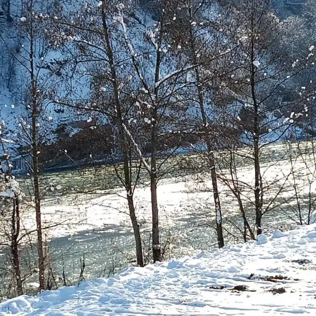 Real photos of Rest by the river