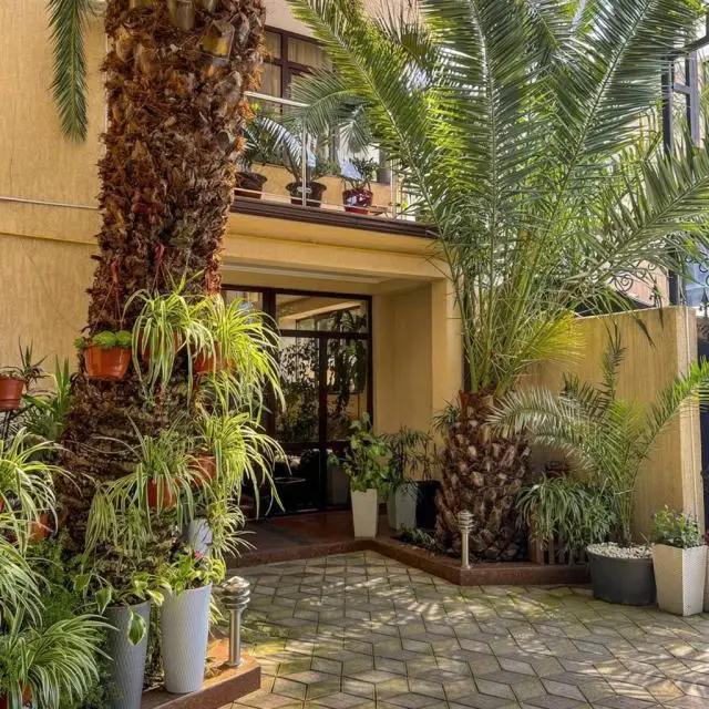 Реальные фото Три Пальмы