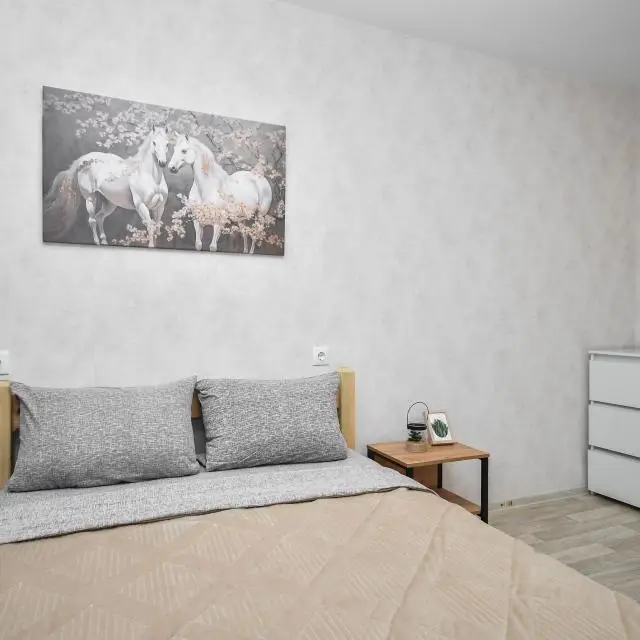 Real photos of Cozy two-bedroom apartment near the Siberian Federal University