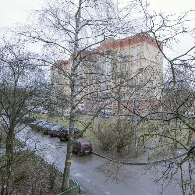 Real photos of NaSutki35 on 83 Herzen Street