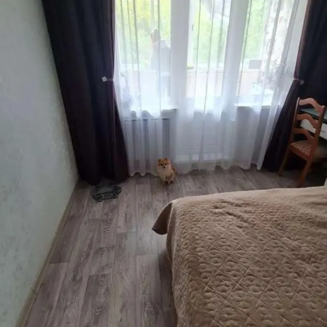 Real photos of Apartments on Rumyantseva street, 25