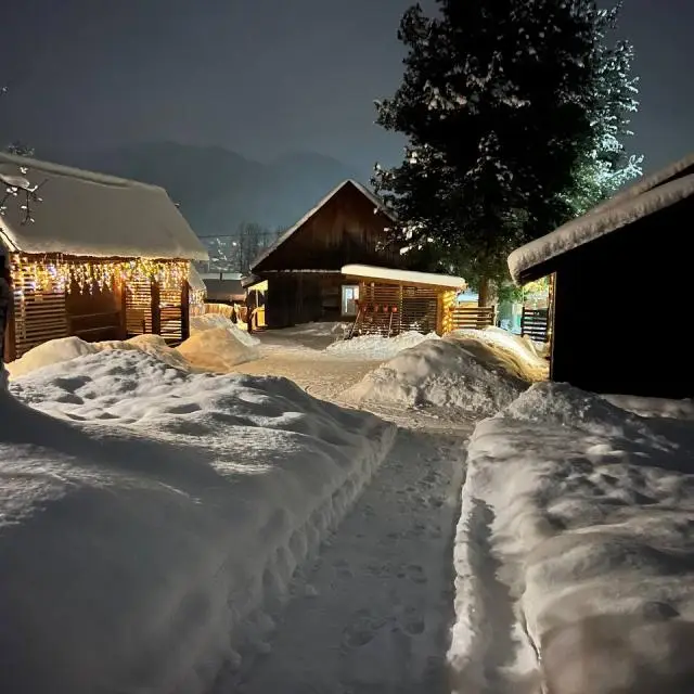 Real photos of Altai