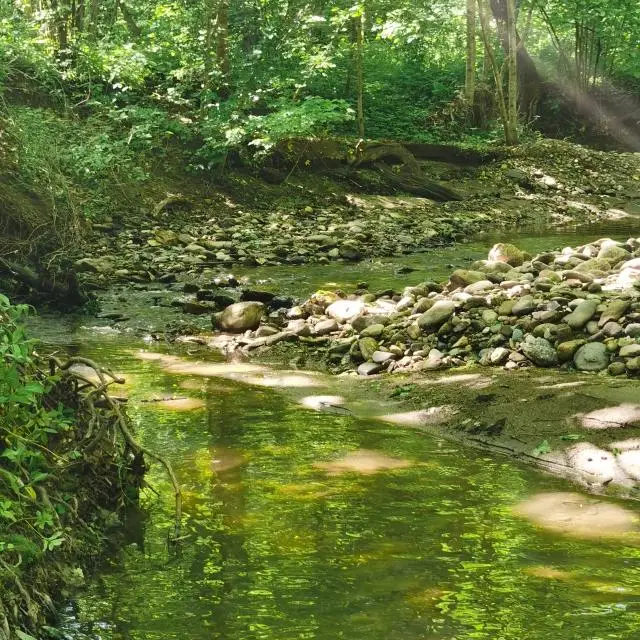Real photos of MestoCamp