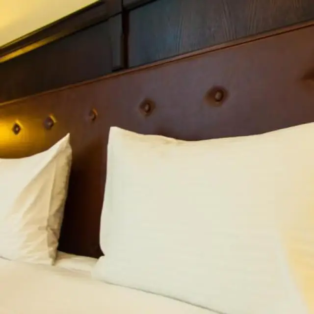 Real photos of Bilar Palace Hotel