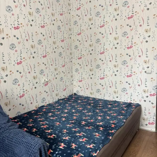 Real photos of Apartment at Valeevna's on Alexandrovskaya street