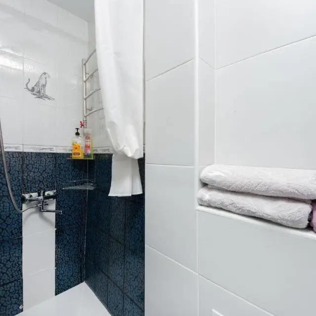 Real photos of Apartments on Ordzhonikidze street 3