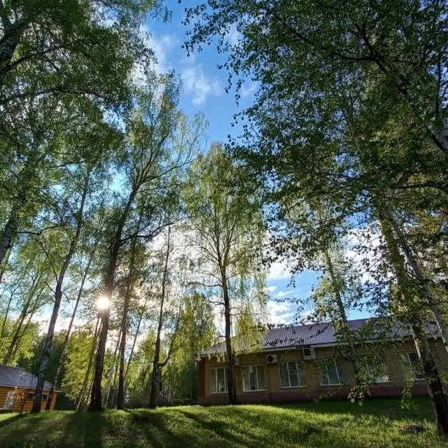 Реальные фото Ясная Поляна