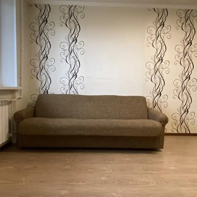 Real photos of Studio apartments on Tushkanova street 2