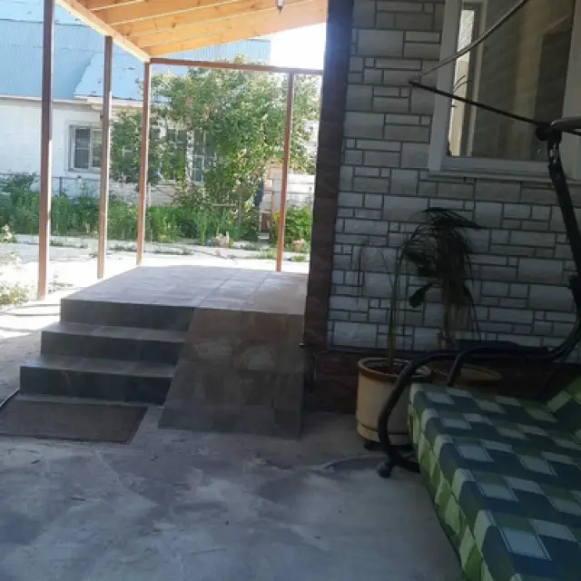 Реальные фото Сова в Шереметьево