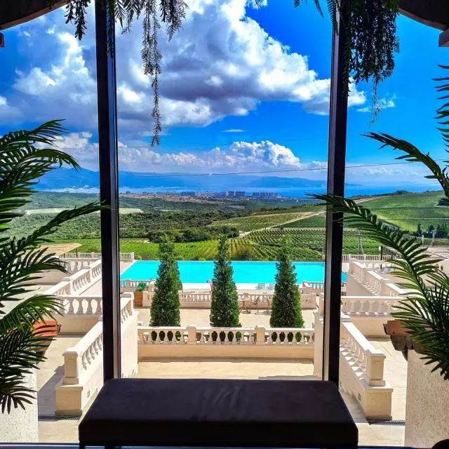 Real photos of Chateau Pinot