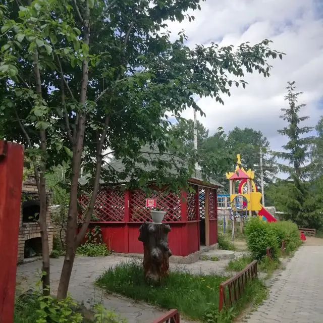 Реальные фото Эдельвейс