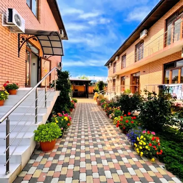 Реальные фото Гиацинт