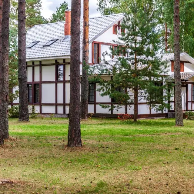 Real photos of Pleskov